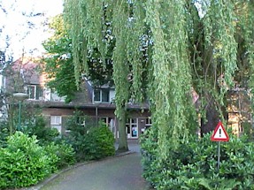 berne39.jpg (35164 bytes)