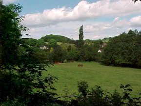 dale12.jpg (23319 bytes)