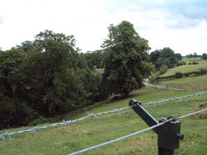 egglestone18.jpg (21165 bytes)