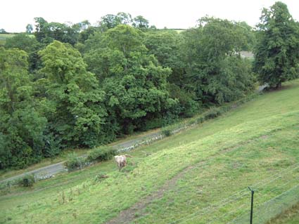 egglestone33.jpg (25912 bytes)