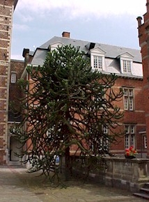postel66.jpg (28348 bytes)