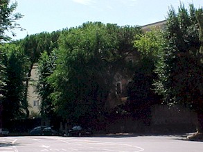 Curia02.jpg (26196 bytes)