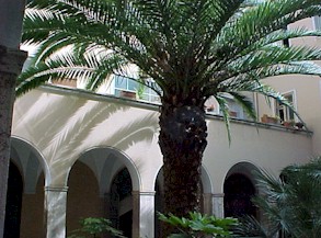 Curia19.jpg (30968 bytes)