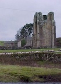 shap-01.jpg (16337 bytes)