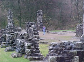 shap-03.jpg (28231 bytes)