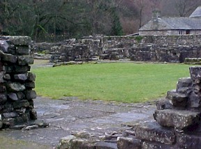 shap-04.jpg (26699 bytes)