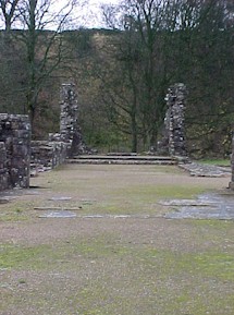 shap-05.jpg (25787 bytes)