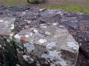 shap-08.jpg (30840 bytes)