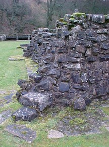 shap-09.jpg (32271 bytes)