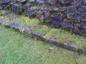shap-10.jpg (34291 bytes)
