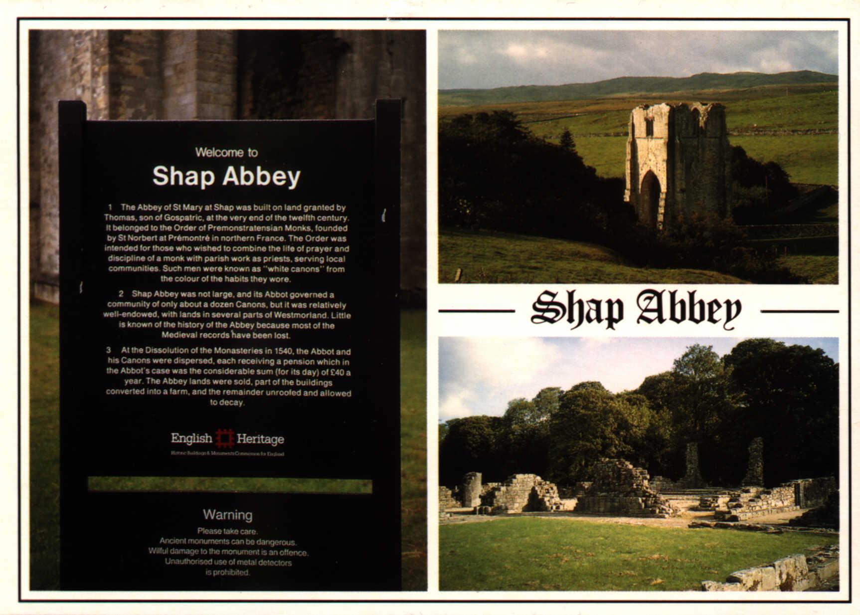 shap-101.jpg (37947 bytes)