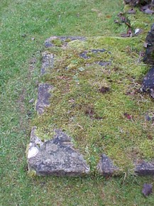 shap-11.jpg (34289 bytes)