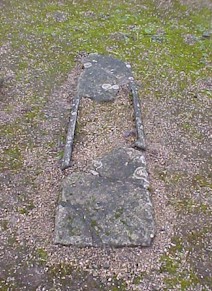 shap-13.jpg (35504 bytes)