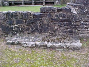 shap-14.jpg (35197 bytes)