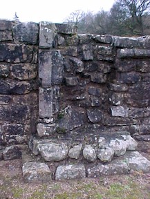 shap-15.jpg (30656 bytes)