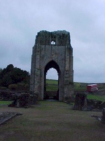 shap-16.jpg (14582 bytes)