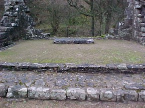 shap-17.jpg (28109 bytes)