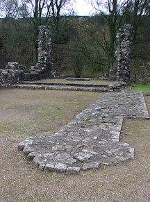 shap-19.jpg (28643 bytes)