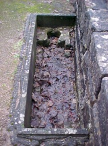 shap-20.jpg (33441 bytes)