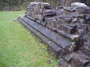 shap-21.jpg (30467 bytes)