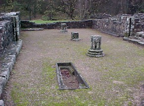 shap-22.jpg (29603 bytes)