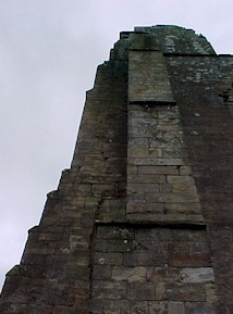 shap-25.jpg (18336 bytes)