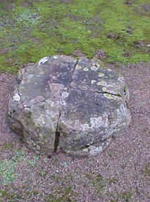 shap-27.jpg (31119 bytes)