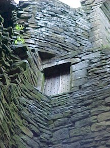 shap-30.jpg (33646 bytes)