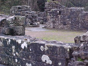 shap-35.jpg (32823 bytes)