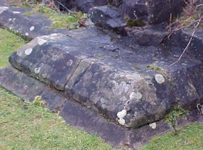 shap-36.jpg (28458 bytes)