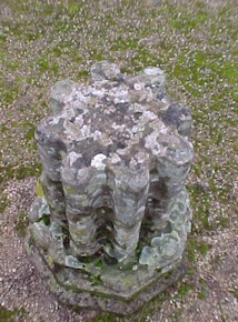 shap-38.jpg (32733 bytes)