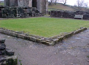 shap-40.jpg (26724 bytes)
