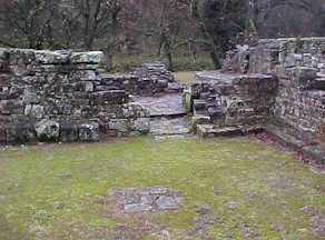 shap-41.jpg (30788 bytes)