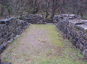 shap-43.jpg (32630 bytes)