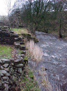 shap-46.jpg (32699 bytes)