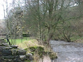 shap-47.jpg (31703 bytes)