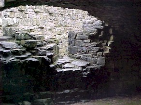 shap-48.jpg (28453 bytes)