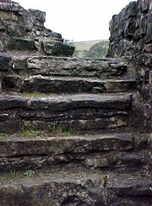 shap-49.jpg (28618 bytes)