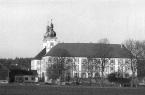 IMSpeinshart77.jpg (14942 bytes)