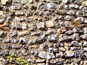 15.jpg (42342 bytes)