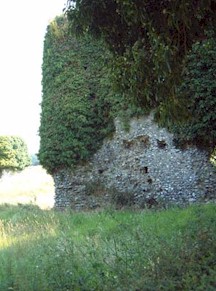 8.jpg (26254 bytes)