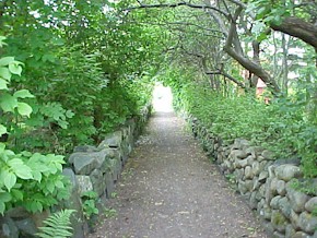 va07.jpg (35926 bytes)